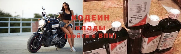 дурь Алзамай