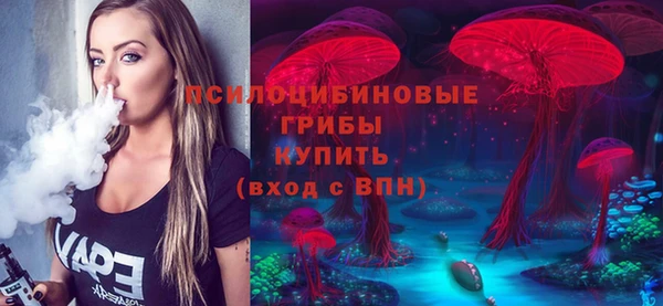 дурь Алзамай