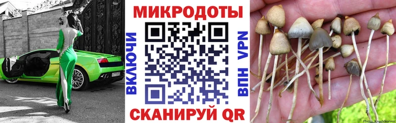 дарнет шоп Луза Галлюциногенные грибы ЛСД